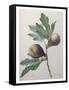 Canvas Black