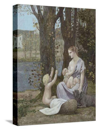 Stretched Canvas Print, , large