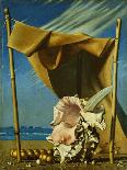 Shell and Drape; Coquillage Et Drape, C.1930 (Oil on Canvas)-Pierre Roy-Giclee Print