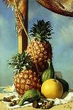 Still-Life with Pineapples; Nature Morte Avec Ananas, (Oil on Canvas)-Pierre Roy-Giclee Print