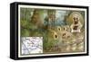 Pierre Savorgnan De Brazza, Italian Explorer-null-Framed Stretched Canvas