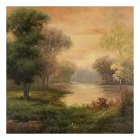 Tranquility Path I-Pierre-Framed Art Print