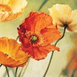 Champs de coquelicots II-Pierre Viollet-Art Print