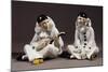 Pierrot and Pierrette, Porcelain, Gotha Manufacture, Thuringia, Germany-null-Mounted Giclee Print