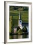 Piesport On Moselle River Germany-Charles Bowman-Framed Photographic Print