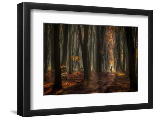 Premium Photographic Print, , large