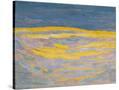 Stretched Canvas