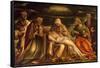 Pieta Between Saints Mark, Ambrose, John the Evangelist and Antonio Abate-Amico Aspertini-Framed Stretched Canvas