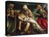 Pieta with Saint Mark, Ambrose, John the Evangeli, Saint and Antonio Abate-Amico Aspertini-Stretched Canvas