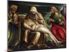 Pieta with Saint Mark, Ambrose, John the Evangeli, Saint and Antonio Abate-Amico Aspertini-Mounted Giclee Print