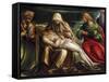 Pieta with Saint Mark, Ambrose, John the Evangeli, Saint and Antonio Abate-Amico Aspertini-Framed Stretched Canvas