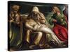 Pieta with Saint Mark, Ambrose, John the Evangeli, Saint and Antonio Abate-Amico Aspertini-Stretched Canvas