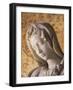 Pieta-Michelangelo Buonarroti-Framed Giclee Print