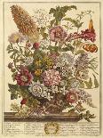 April, from 'Twelve Months of Flowers', by Robert Furber (C.1674-1756), Engraved by Henry Fletcher-Pieter (after) Casteels-Framed Giclee Print