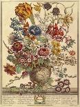 April, from 'Twelve Months of Flowers', by Robert Furber (C.1674-1756), Engraved by Henry Fletcher-Pieter (after) Casteels-Framed Giclee Print