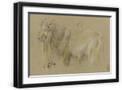 Black Frame