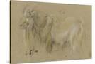 Stretched Canvas