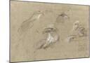 Wood Mount