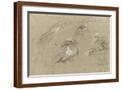 Brown Frame