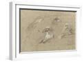 White Frame