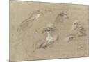 Wood Mount