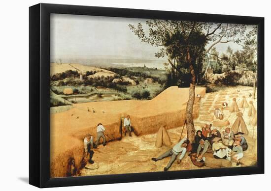 Pieter Bruegel The Grain Harvest Art Print Poster-null-Framed Poster