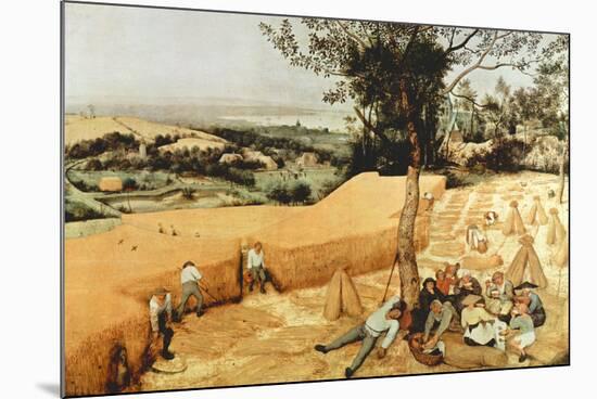 Pieter Bruegel The Grain Harvest-Pieter Bruegel the Elder-Mounted Art Print