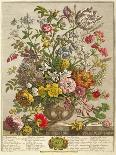 Carnations and Other Flowers with Parrots on a Pedestal-Pieter Casteels-Giclee Print