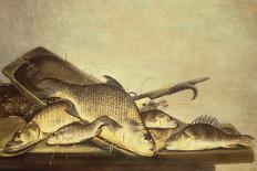 A Fishmonger Holding a Pike, with Bream, Perch and Other Fish on a Ledge-Pieter de Putter-Framed Giclee Print