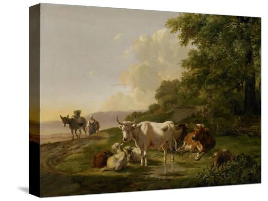 Stretched Canvas Print, , large