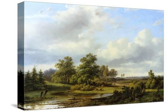 Stretched Canvas Print, , large