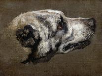 Hound-Pieter Or Peter Boel-Stretched Canvas