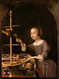 Girl Feeding a Parrot-Pieter Van Steenwyck-Framed Giclee Print