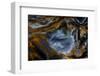 Pietersite from Namibia-Darrell Gulin-Framed Photographic Print