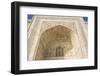 Pietra dura jali inlay, Taj Mahal, UNESCO World Heritage Site, Agra, Uttar Pradesh, India, Asia-Matthew Williams-Ellis-Framed Photographic Print