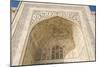 Pietra dura jali inlay, Taj Mahal, UNESCO World Heritage Site, Agra, Uttar Pradesh, India, Asia-Matthew Williams-Ellis-Mounted Photographic Print