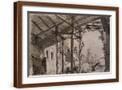 Brown Frame