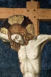 Crucifixion-Pietro Cavallini-Framed Stretched Canvas