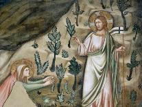 Mosaics by Pietro Cavallini, c. 1291, in Santa Maria in Trastevere Church, Rome, Italy-Pietro Cavallini-Art Print