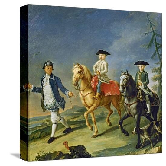 Stretched Canvas Print, , large
