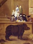 The Rhinoceros-Pietro Falca Longhi-Art Print