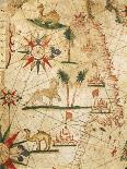 Nautical Chart of Northern Africa-Pietro Giovanni Prunus-Giclee Print