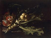 Cauliflower and Pomegranates-Pietro Paolo Bonzi-Laminated Giclee Print