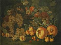 Cauliflower and Pomegranates-Pietro Paolo Bonzi-Mounted Giclee Print