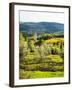 Pieve Di Santa Maria Novella near Radda in Chianti-Terry Eggers-Framed Photographic Print