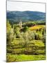 Pieve Di Santa Maria Novella near Radda in Chianti-Terry Eggers-Mounted Photographic Print