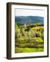 Pieve Di Santa Maria Novella near Radda in Chianti-Terry Eggers-Framed Photographic Print