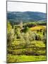 Pieve Di Santa Maria Novella near Radda in Chianti-Terry Eggers-Mounted Photographic Print