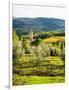 Pieve Di Santa Maria Novella near Radda in Chianti-Terry Eggers-Framed Photographic Print