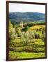 Pieve Di Santa Maria Novella near Radda in Chianti-Terry Eggers-Framed Photographic Print